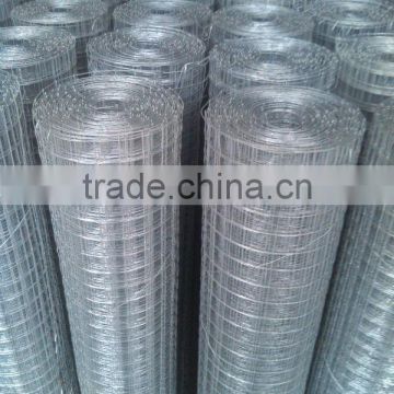 welded wire mesh