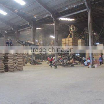 Wet Polished Robusta Green Coffee Beans Grade 1 Screen 18 photo-5