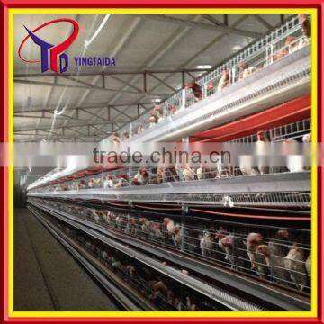 High Quality Design Layer Chicken Cages for Kenya Poultry Farm ( Full Poultry Equipment)