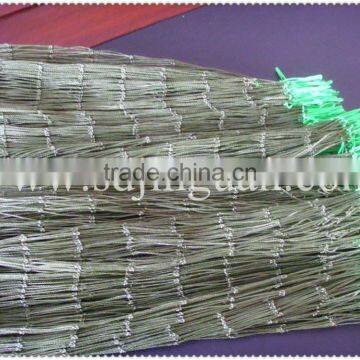 New Greenhouse Parts Plastic Supporting Plant Net for Agriculture