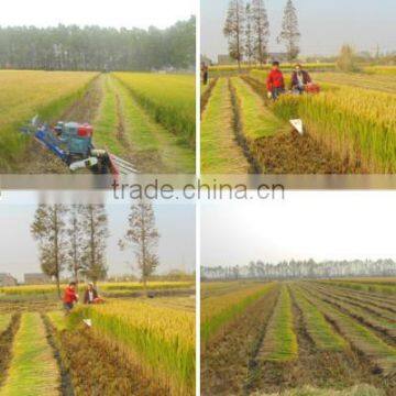 Factory Offer Paddy Reaper photo-5