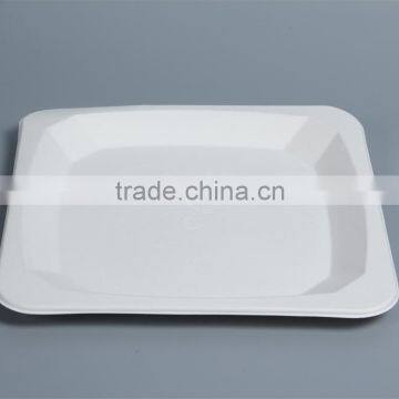 disposable compostable 10 inch food trays square plates P037