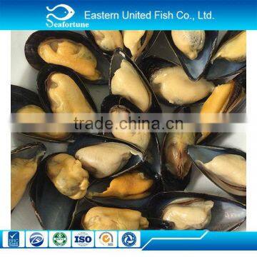 new arrival frozen chinese origin mussel