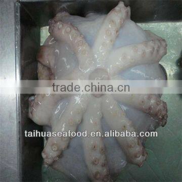 Frozen Cooked Peru Giant Octopus