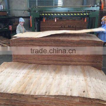 ROTARY CUT DRIED VENEER