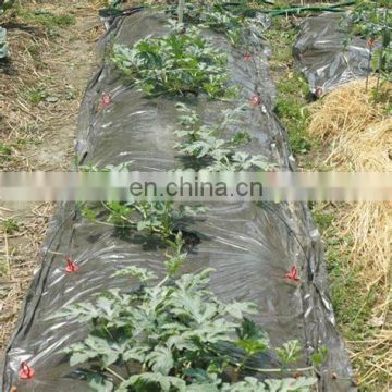 Accept customized size and colors white transparent polyethylene plastic mulch film for agriculture