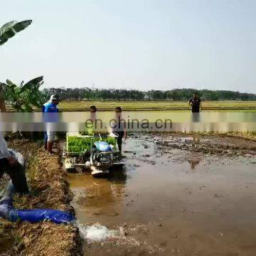 walking type 4 rows hand rice transplanter