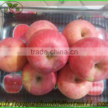 Good apple made in China/Fresh Apples/fuji apple exporter in china