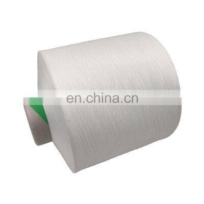 China factory hot selling twist 120tpm raw white dty nylon white yarn 100d 2