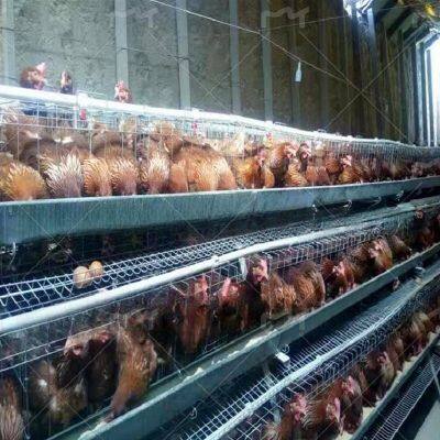 Broiler Cage / Three Story Two Door Three-dimensional Chicken Cage / Chicken Cage photo-3