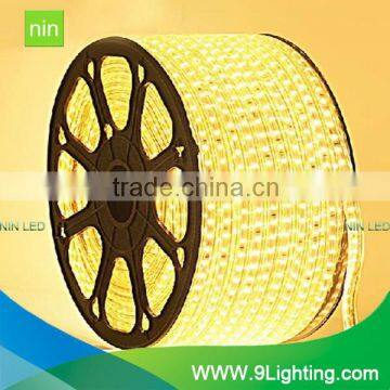 Wholesale Led Strip Light 5050 at Cheap Price Landscape Led photo-2