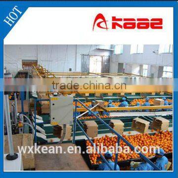 Full-automatic photo electrical fruit grading machine