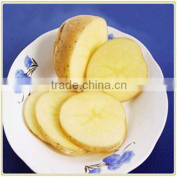 factory price potato high quality potato slice cutting machine