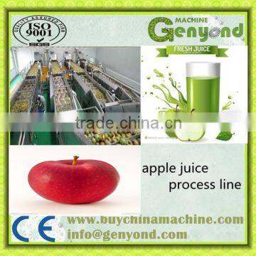 Fresh Apple Juice Production Line
