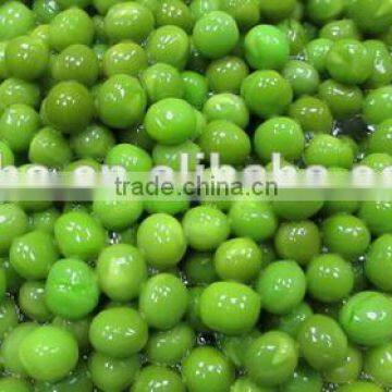 Hot Sell Canned Green Peas photo-4