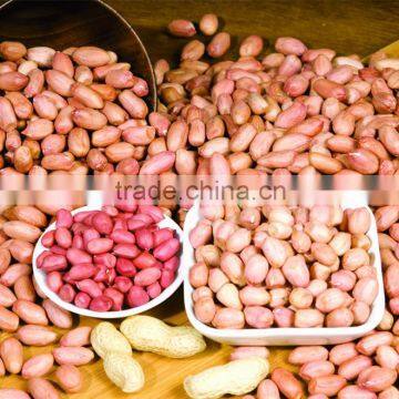 New crop Chinese Shandong groundnut kernel from factory with good price