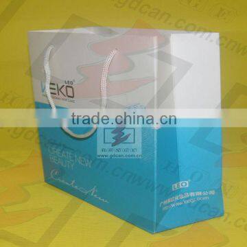 Factory Price Paper Shopping Bag With Your Own Logo