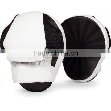 Focus Pads VI - 2509