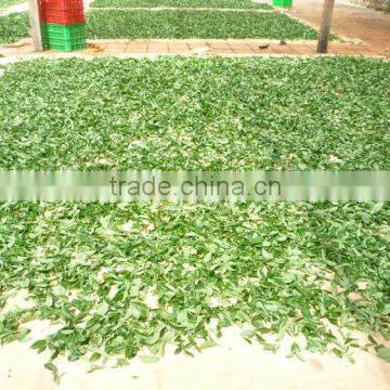 OLD STYLE OOLONG TEA photo-4