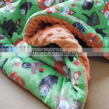 China Wholesaler Professional in Making Skin Friendly Washable Minky Printed Baby Quilt photo-2