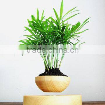 Low Price Levitating Pots for Plant Flower Pots photo-5