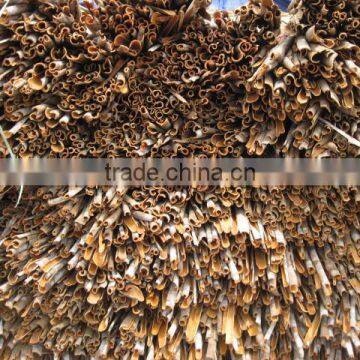 Vietnam Cassia , Vietnam Cinnamon New Crop 2015 photo-2