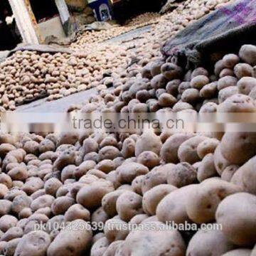 Fresh Potatoes photo-4