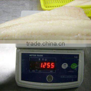 Frozen Codfish Fillet