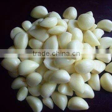 China Garlic Price 2016 photo-3