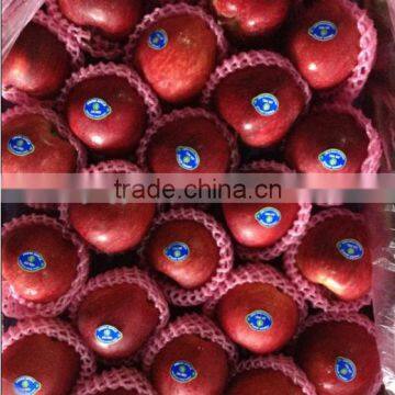 Hot sale Chinese fresh red delicious apple with high quality