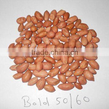 RED SKIN BOLD PEANUT KERNEL 38/42