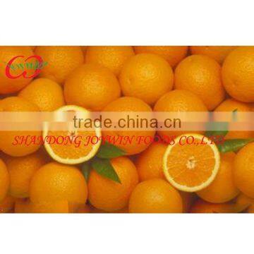 Canned mandarin manufacturer new crop 410g/820g/2500g/3000g