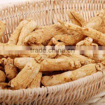 ginseng product