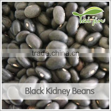 Wholesale types of dry black beans