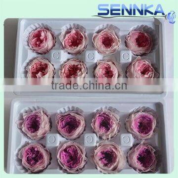 Elegance Preserved Japanese Austin Rose as Wedding Gifts for Guests photo-4