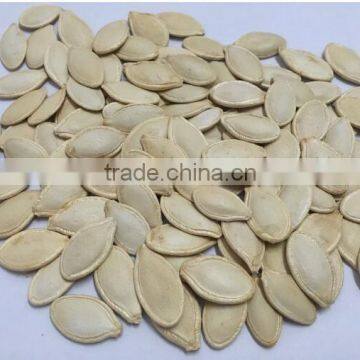 high quality of shine skin pumpkin seed for south east market