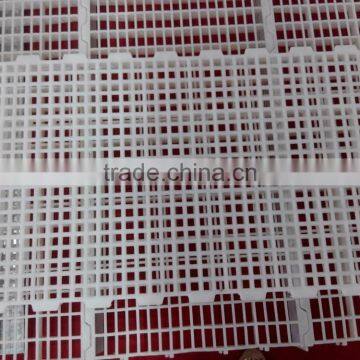 Goldenest Supplies Poultry Equipment Price Plastic Slats Flooring for Broiler Farm Manufacturer Price JCJ13-PS11 photo-5