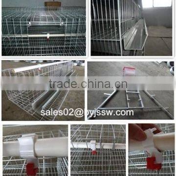 Chicken Cage Poultry Farm photo-4