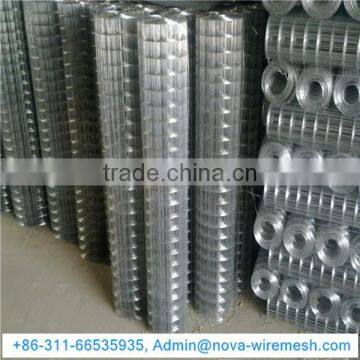 Chicken Coop Welded Mesh / Welded Wire Mesh Mew Product / Welded Wire Mesh for Birds Cage