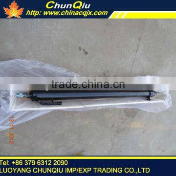 Motor Grader Shifting Cylinder of the Blade for Sale