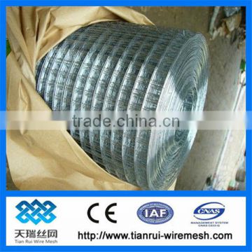 electro galvanized welded wire mesh /1x1 galvanized welded wire mesh