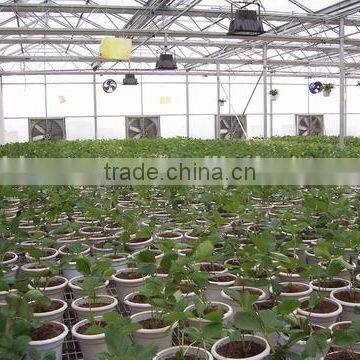 Saled Agricultural Greenhouse for Sale photo-2