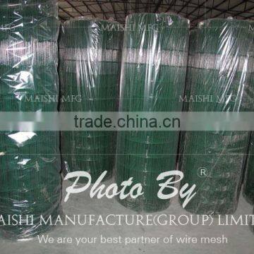 Green Color PVC Coated Wire Mesh photo-5
