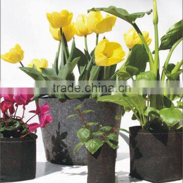 Hydroponics herbal growing Plants Grow Bags
