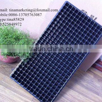 PS Material Plastic Plant Nursery Seedling Black Hole Tray 288 cell with different thickness