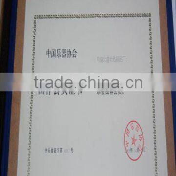 the member of the Association of Chinese Musical I