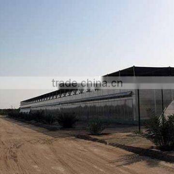 Polycarbonate Sheet Greenhouse-2