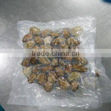 VACCUM CLAM FROM CHINA FOR EXPORT