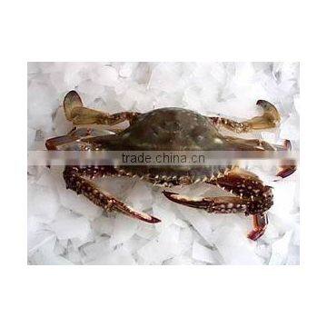 deep sea china seafood marine crabs