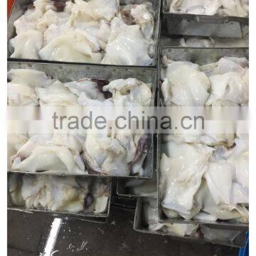 Frozen Giant Peru Fillet Squid Neck Size 500+ on Sale photo-2